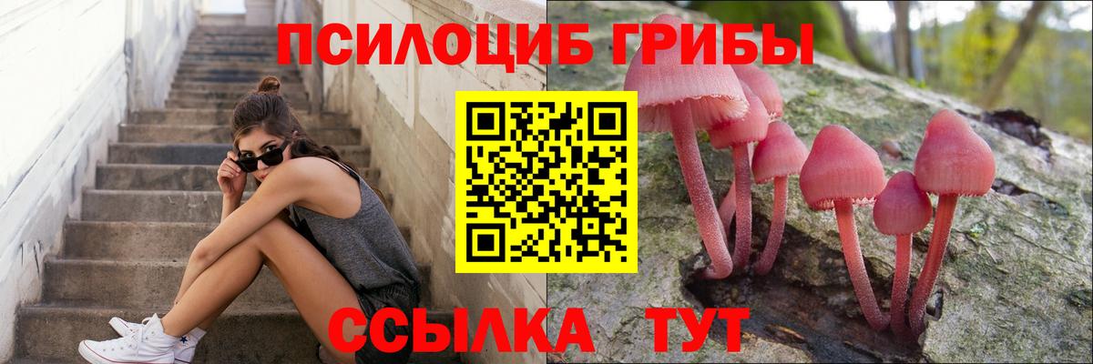 Псилоцибиновые грибы Magic Shrooms  Галлюциногенные грибы Magic Shrooms  Вход с VPN  Гатчина 