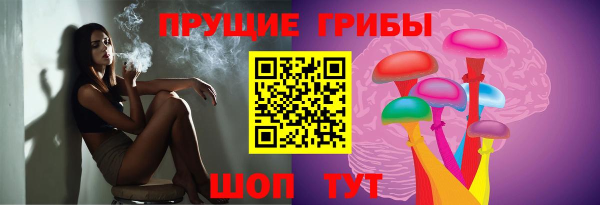 Галлюциногенные грибы Magic Shrooms Гатчина